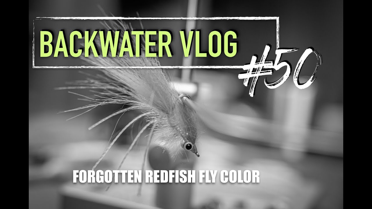 The Forgotten Color For Redfish Flies: BACKWATER VLOG #50