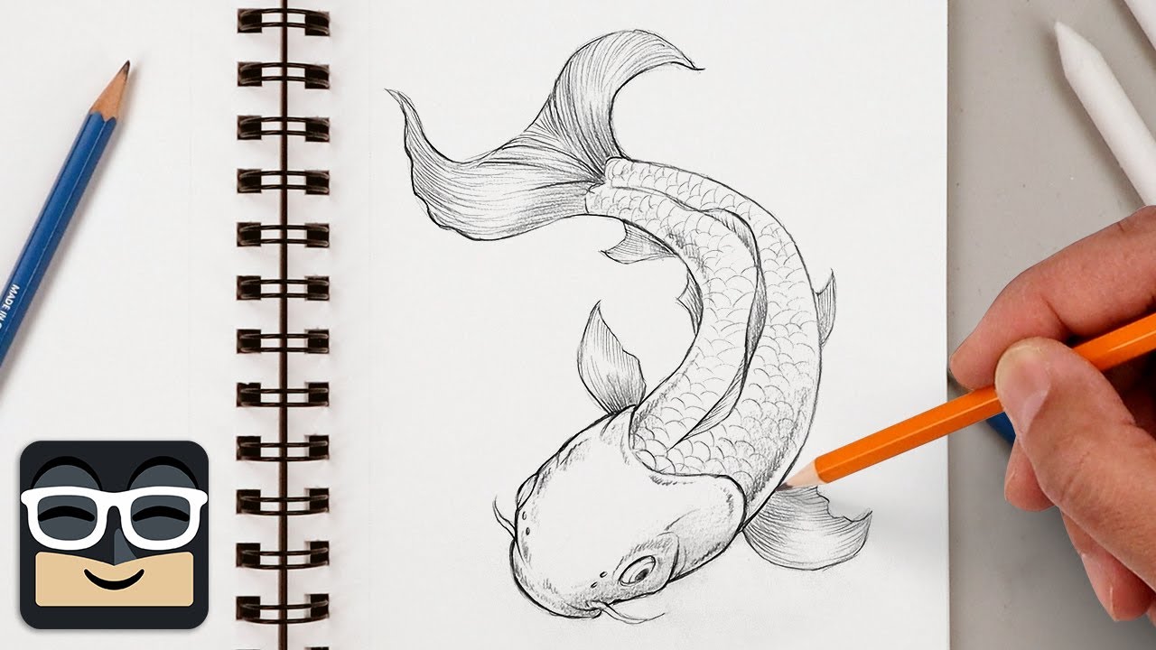 How to Draw a Realistic Koi Fish | Step by Step Sketch Lesson
