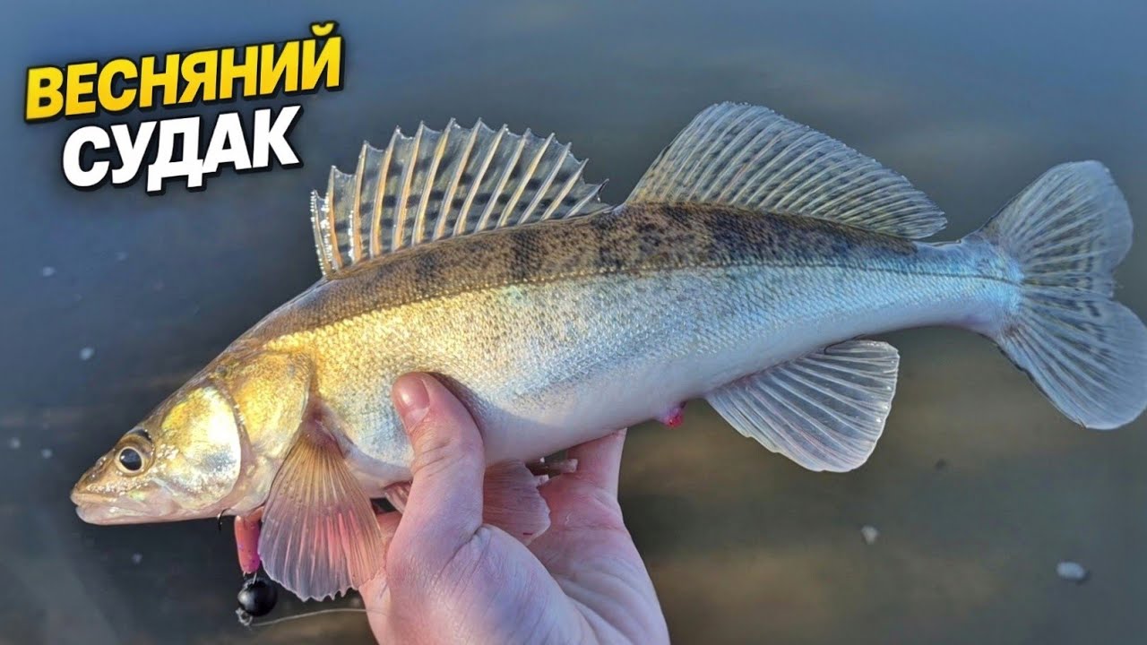 💥 ДЖИГ РАННЬОЮ ВЕСНОЮ. Риба просинається 💥