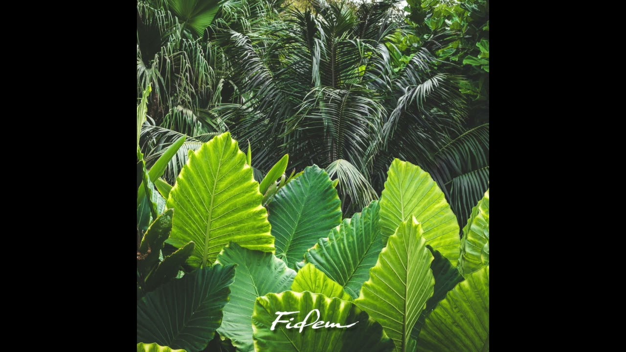 Fidem Community - Two Three (Original Mix)