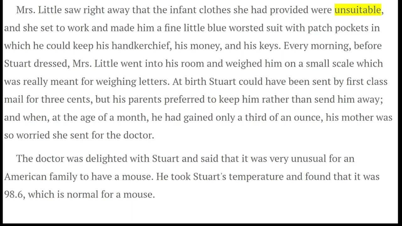 Stuart little Ch  1