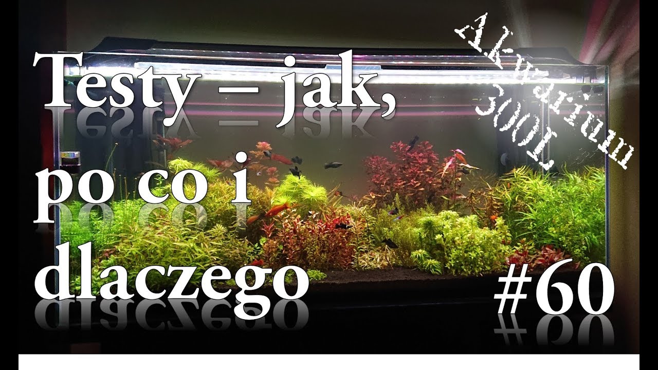 Akwarystyka - 060. Testy wody w akwarium. Jak i po co? Przykładowe testy na PH, NO3 I K