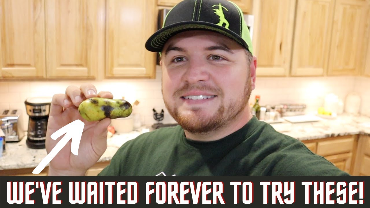 This Was A Huge Surprise! Hidden secret Of The Ozark Mountains!