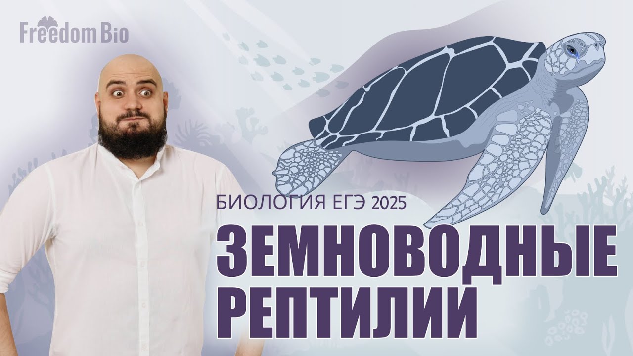 ЗЕМНОВОДНЫЕ и РЕПТИЛИИ для ЕГЭ ПО БИОЛОГИИ |Зоология| ЕГЭ БИОЛОГИЯ 2025|Freedom|