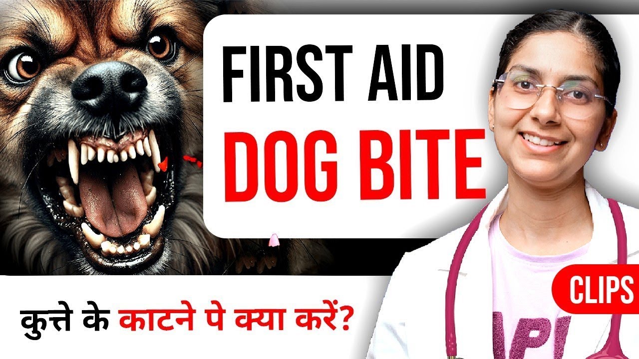 Dog Bite Treatment | What To Do After Dog Bite? 👩‍⚕️ Dr Richa Tiwari