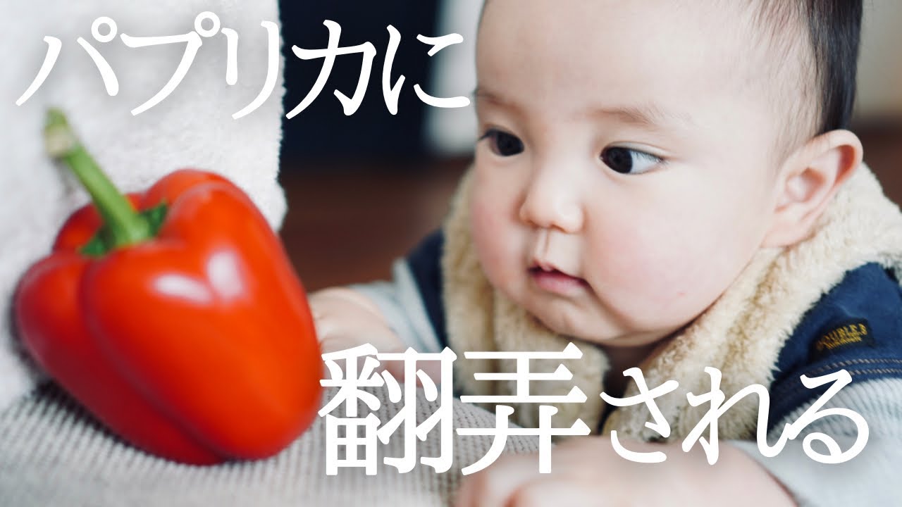 【離乳食】さっきの何？！初パプリカで急にテンションが上がって謎な言葉を喋る0歳児が可愛い（時間差あり）
