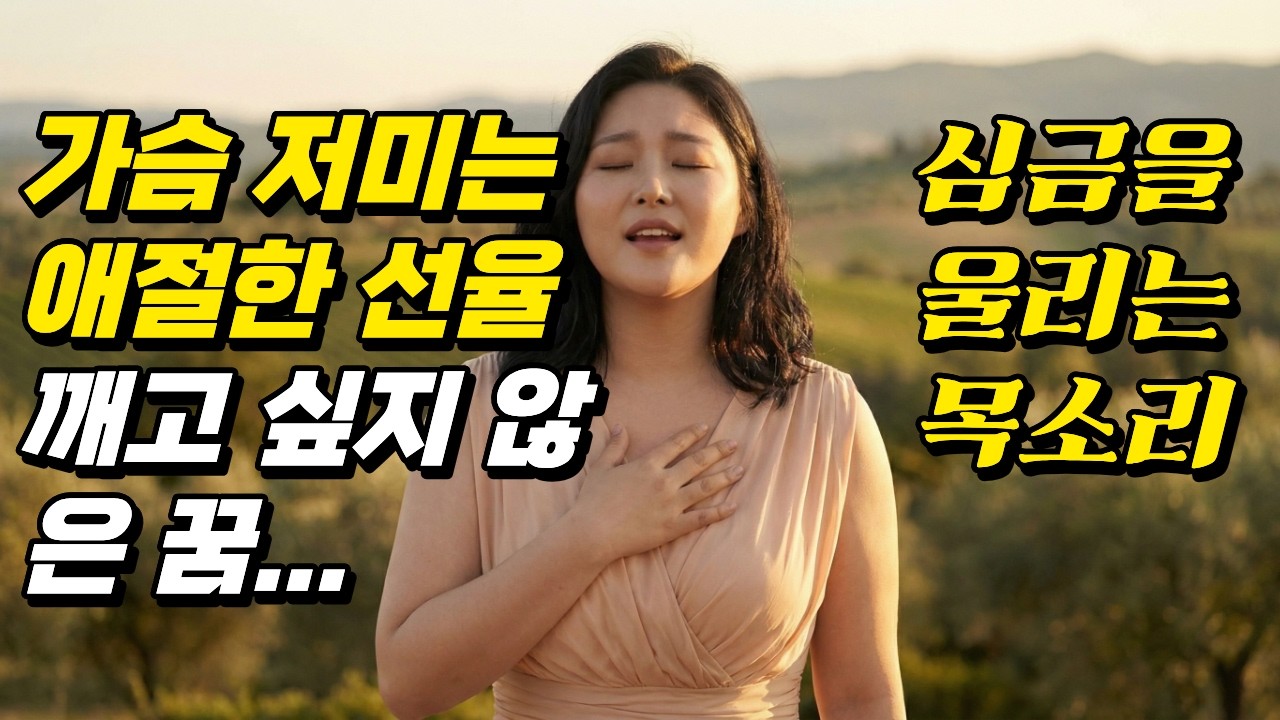 그리운 사람을 부르는 노래 | 꿈에서라도 | 정통 트로트 발라드 베스트