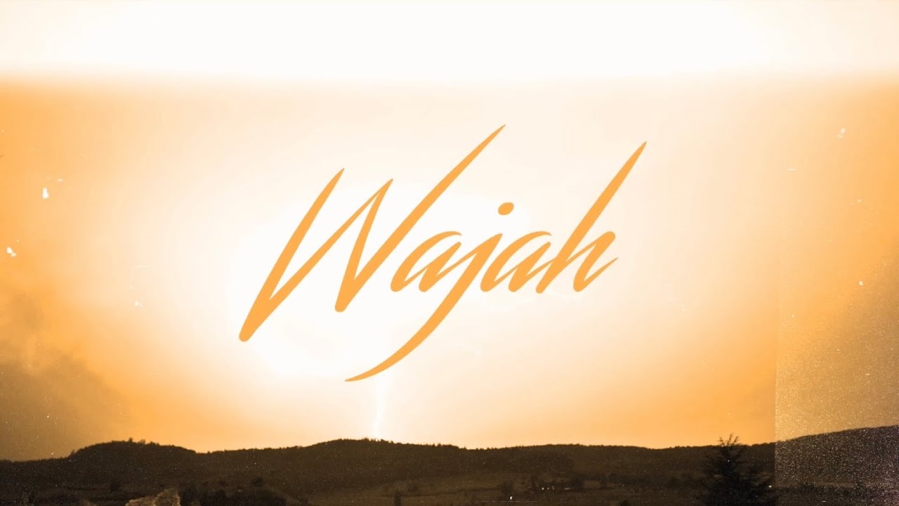 A LIT BOY - WAJAH ( Official Visualizer ) ProdByGxat | Latest Punjabi Songs 2024