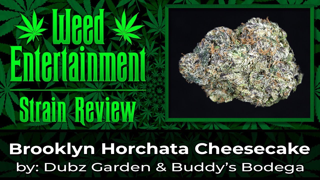 Brooklyn Horchata Cheesecake - by Dubz Garden & Buddy's Bodega - Strain Review - October 2022