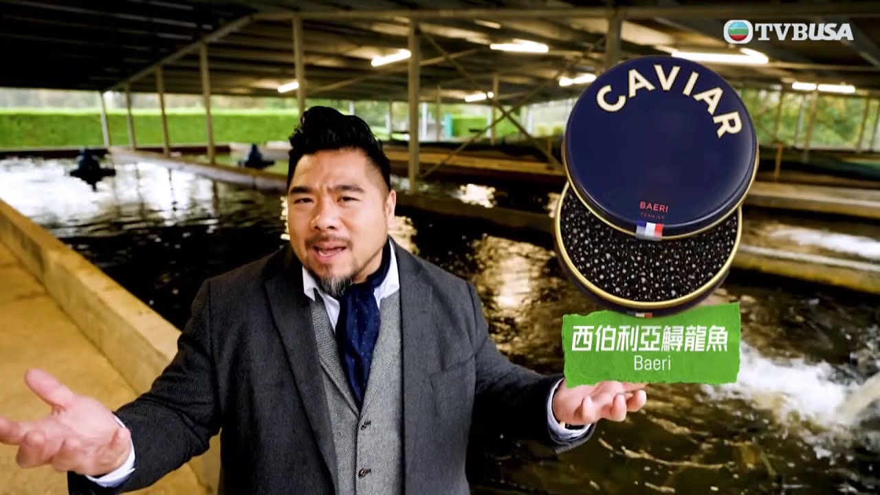 親民的品味｜講到魚子醬天花板，珍貴的大白鱘魚子醬每三十克售價達五千？｜楊尚友｜綜藝｜TVBUSA