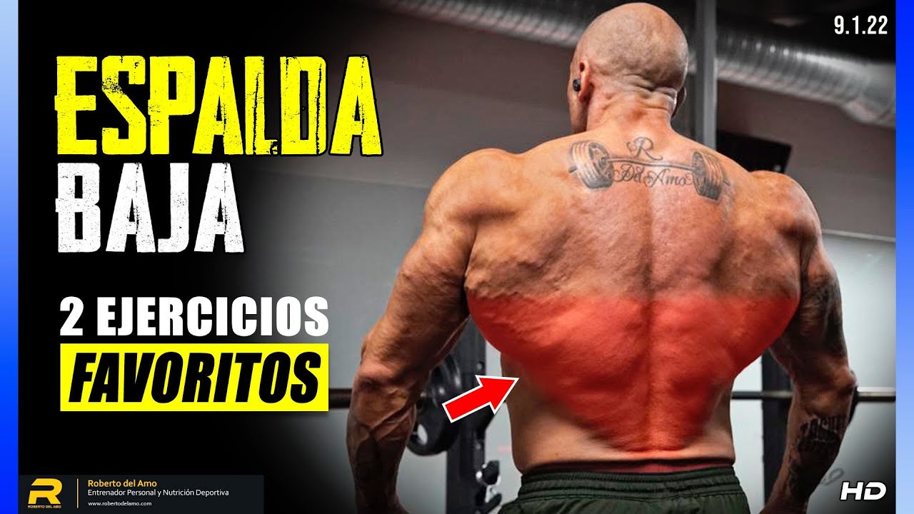 Espalda baja  2 ejercicios favoritos