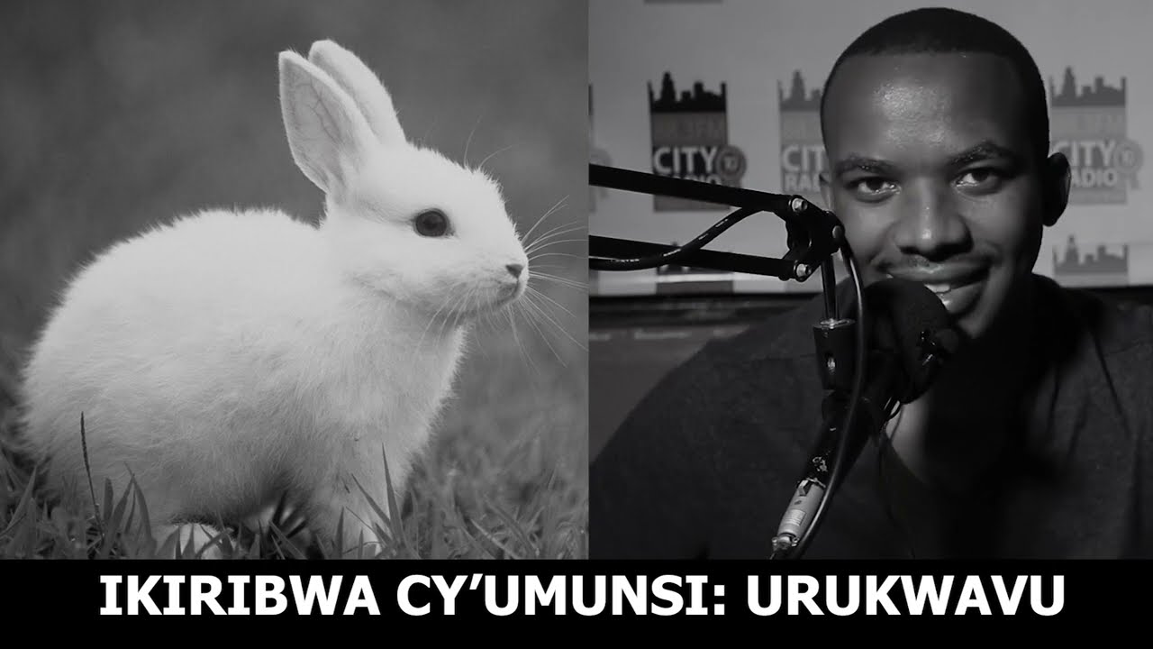 IKIRIBWA CY'UMUNSI: URUKWAVU