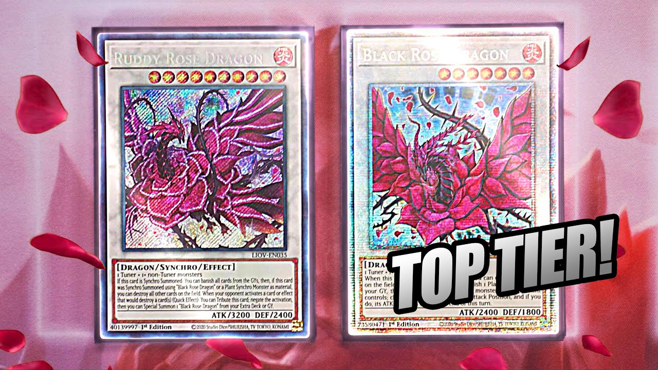 THE NEW TOP TIER YU-GI-OH! ROSE DRAGON PLANT SYNCHRO DECK PROFILE 2021!