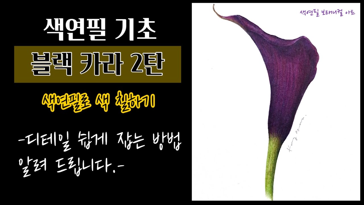 색연필기초/블랙카라2탄/색연필로 색 칠하기/디테일 만들며 색 올리는 방법/색연필 보태니컬아트 기초/colored pencils botanical art