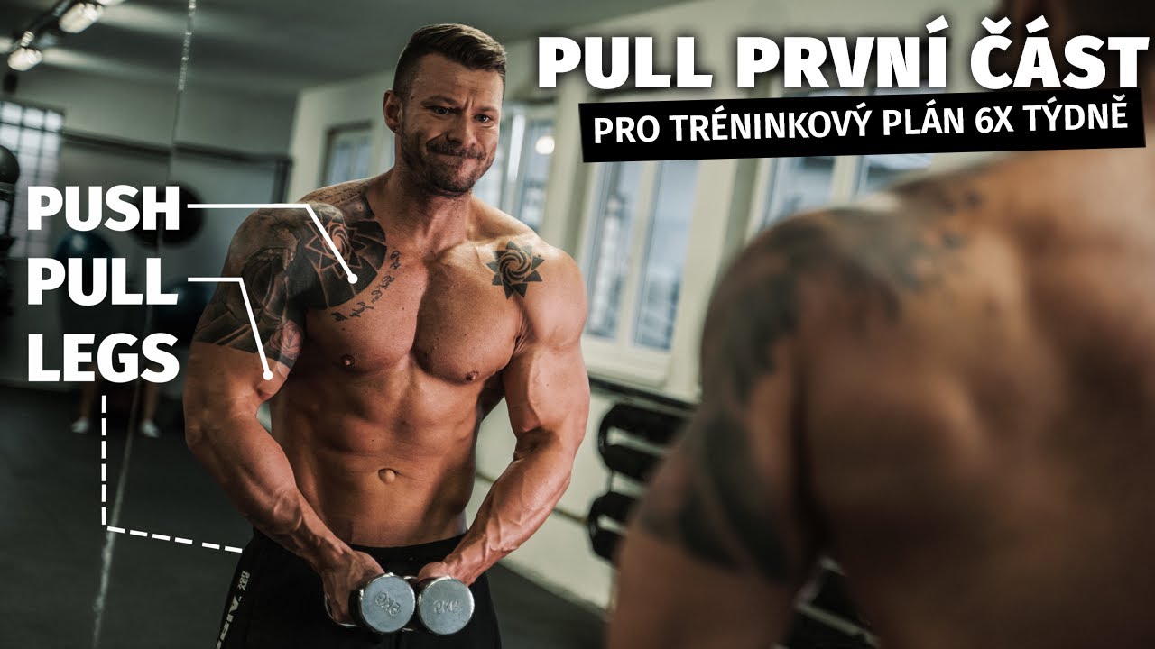 Jak si složit ideální PULL trénink! | Tréninkový plán Push Pull Legs