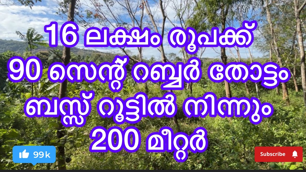#പാലക്കാട് ജില്ലയിൽ മുണ്ടൂർ പഞ്ചായത്തിൽ#lowbudjet#palakkadproperties#rubbertreeplant#realestate 