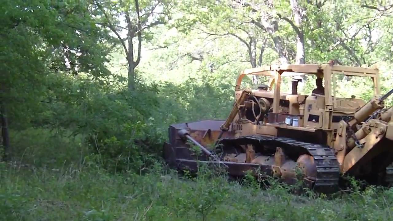 D9G Pushes Way Through Jungle