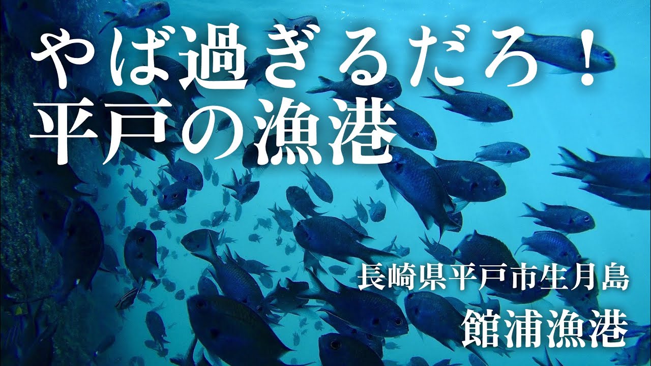 【館浦漁港・長崎県平戸市生月島・海中映像】これが本物の海か‼︎長崎県平戸市生月島の海が別格過ぎて感動に震える事になった🐟#217 福岡釣部 in 福岡・糸島・佐賀・北九州・玄界灘・広島・岡山・瀬戸内海