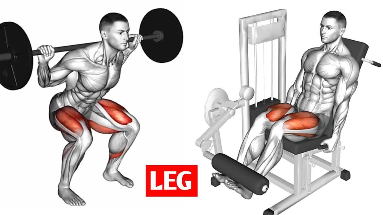 How to Build Bigger Legs at the Gym (Quads, Hamstrings & Glutes🔥)