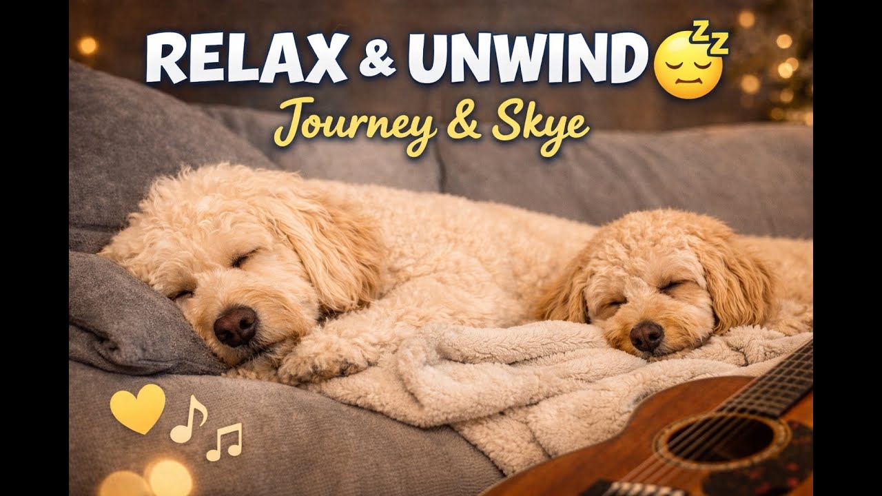 1+ Hour Dog ASMR 🐾 Relaxing Couch Naps with Journey & Skye (Gentle Guitar Music) 😴🎸
