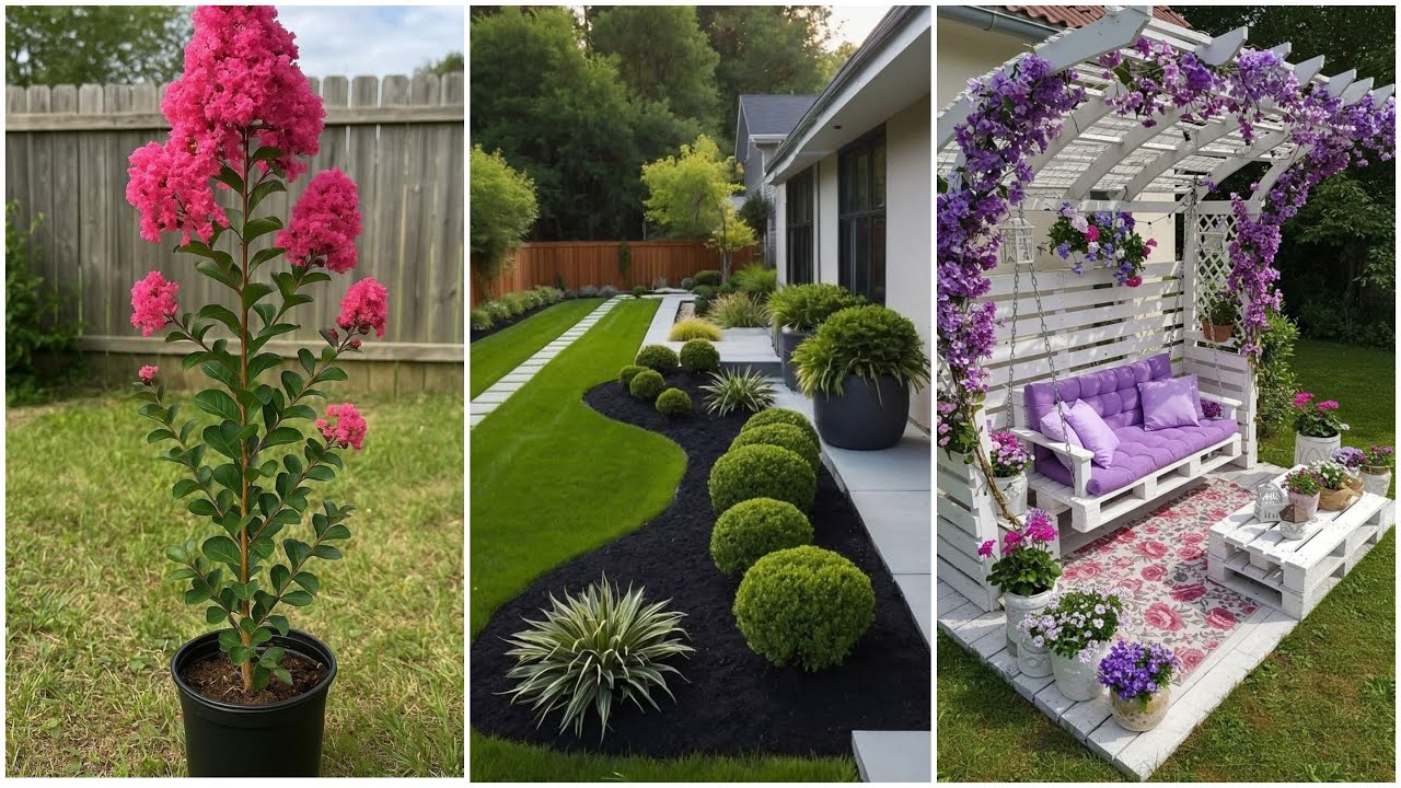 Small Garden ideas, Garden ideas, Small Garden Design, Garden Design ideas, DIY, Garden 