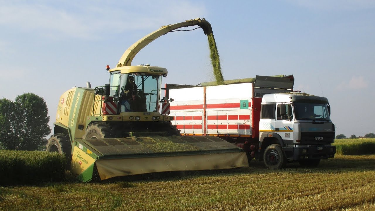 Krone Big X 1100 & 3x Iveco Turbostar - Trinciato grano 2018 - Rosina