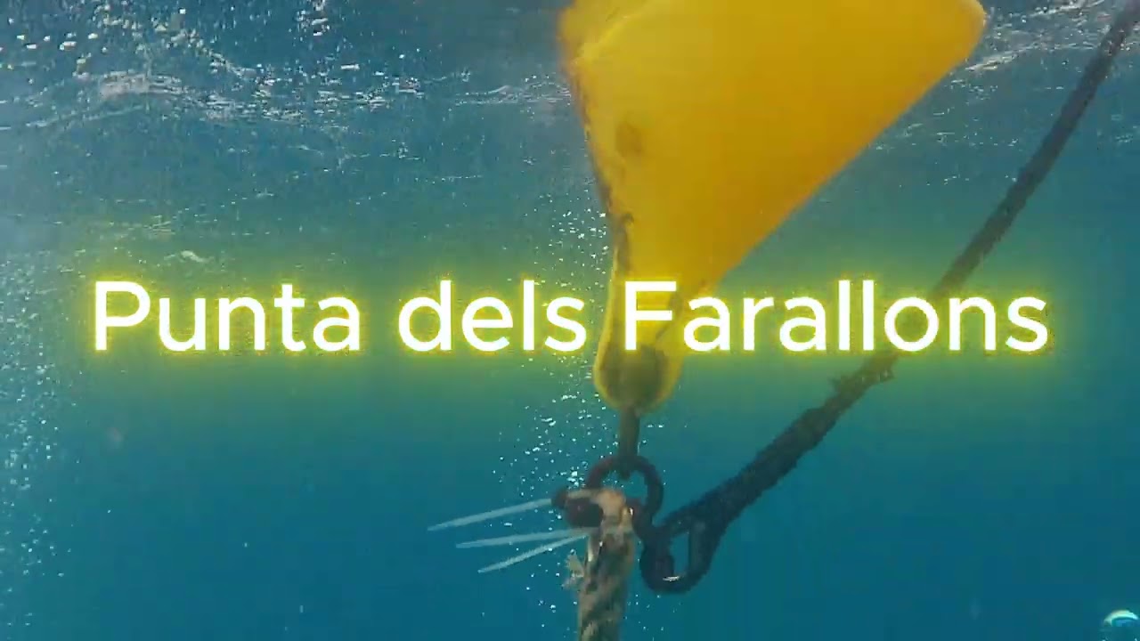 Sortida VILASUB al Port de la Selva amb el Centre CAP DE CREUS DIVE