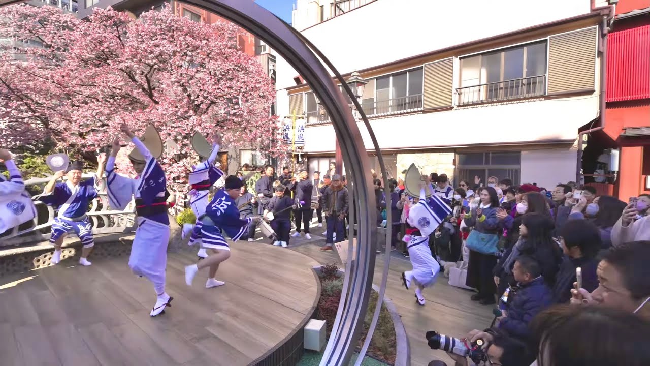 春の熱海を染める阿波踊り ～横濱浜風連、満開の桜の下で演舞～2026.01.24