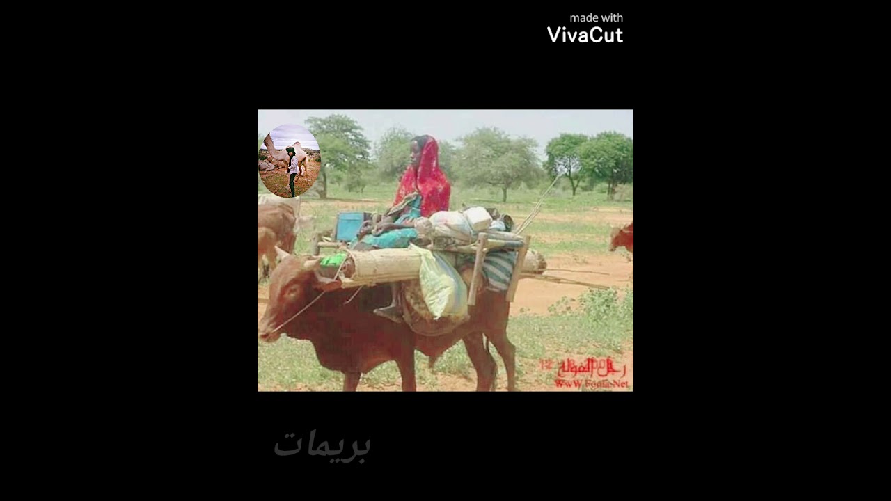 الربابه #ام بربري #موسي بخات الفن الشعبي