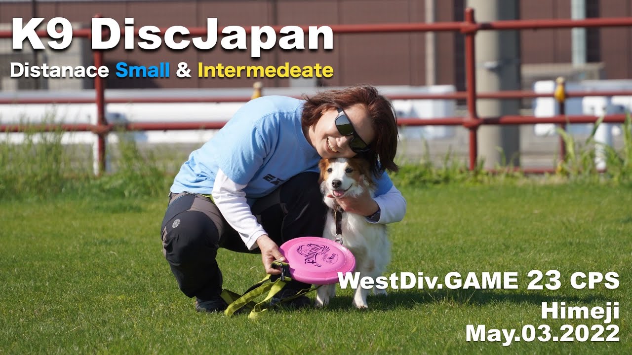 【ワンコと運動会】初日の1stラウンドで終わったかもモニバズ家！ ディスクドッグ大会＠姫路 ！ コーイケルホンディエのテラとノバスコシアダックトーリングレトリバーのピコとの暮らし