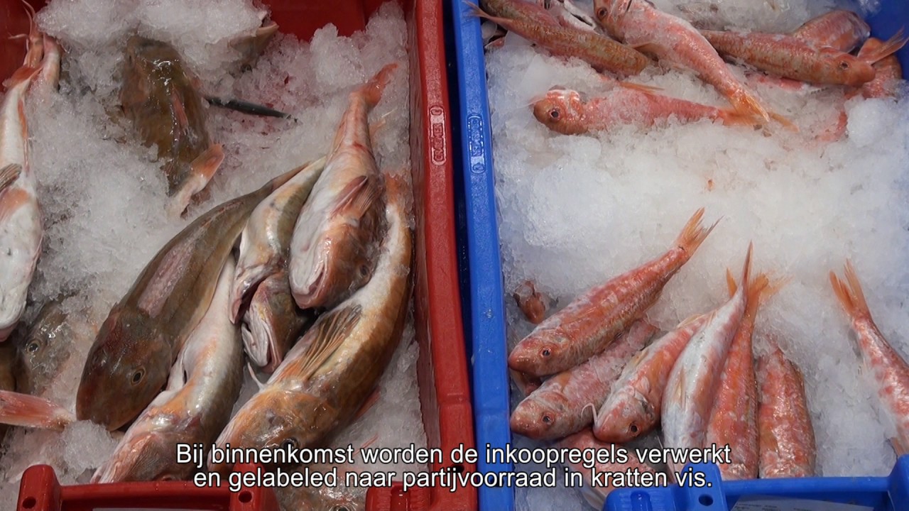Papierloos werken bij Schmidt Zeevis