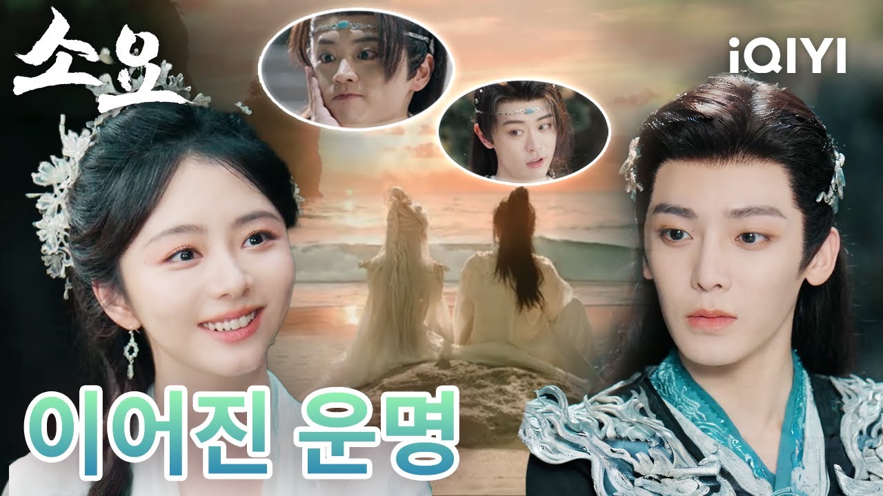 전생과 현생을 잇는 인연✨인간과 요괴의 대립 속에서도🔥그럼에도 피할 수 없었던 운명의 만남💫 |소요|담송운,후명호|iQIYI Korea