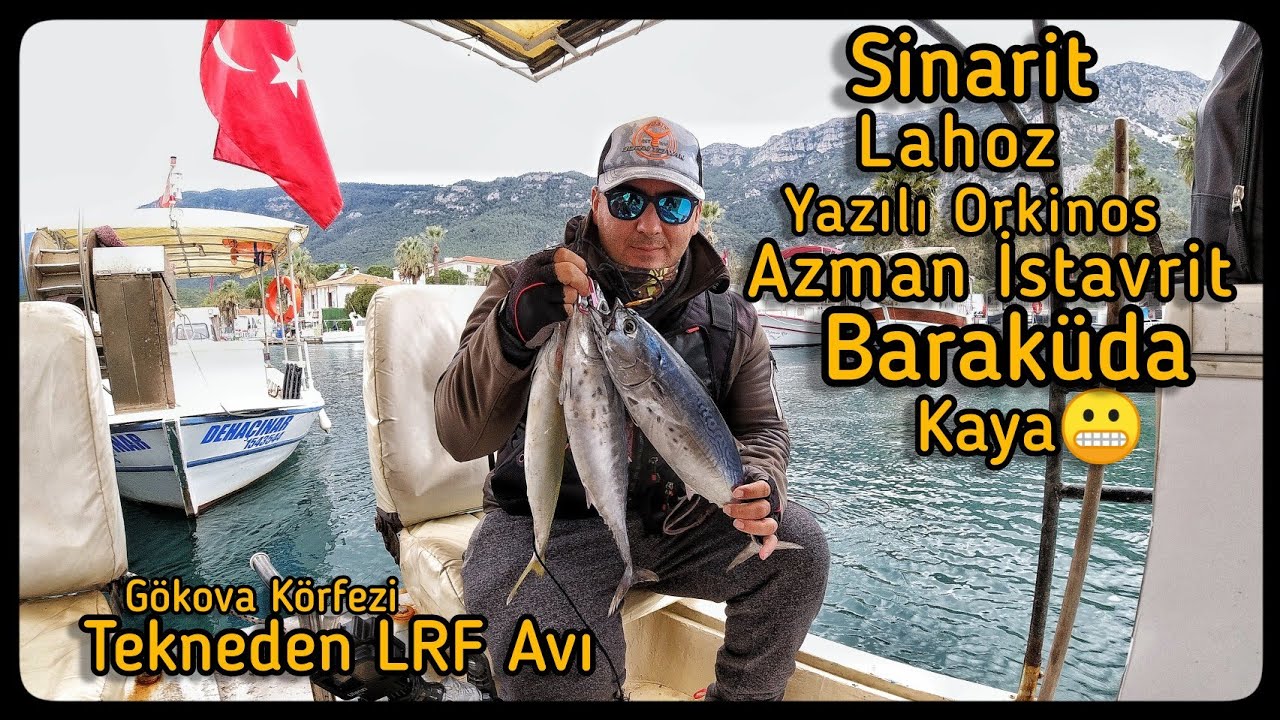 Gökova körfezi lrf avı #sinarit #yazılıorkinos #baraküda #azmanistavrit #falsealbacore #littletunny