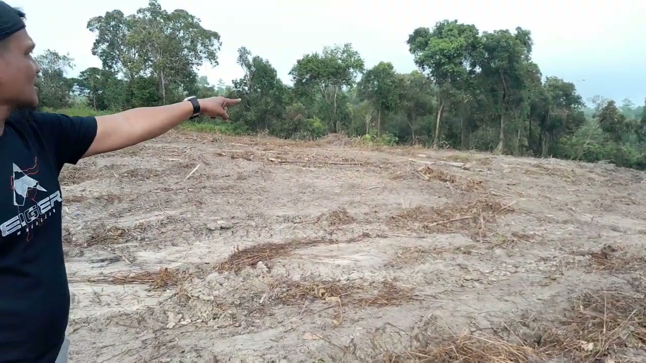 Cek Lokasi Lahan untuk Perumahan Ikhwah #icmkendari #muadztv