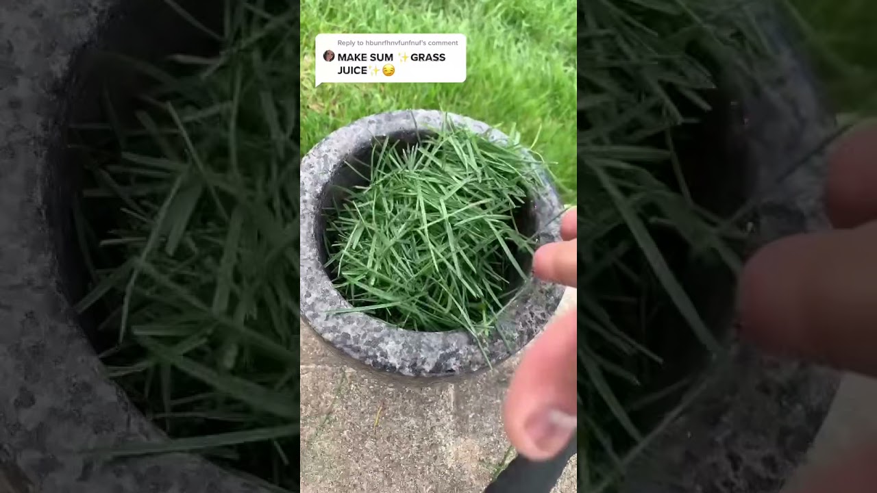 Most Satisfying Grass Crush Ever | Satisfied Crush