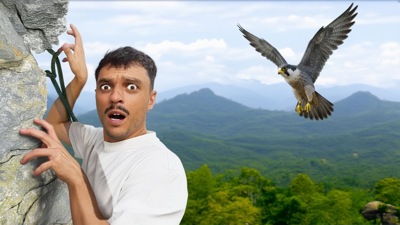 Vlog Escalade : Ils m’emmènent grimper dehors… j’étais pas prêt 😨