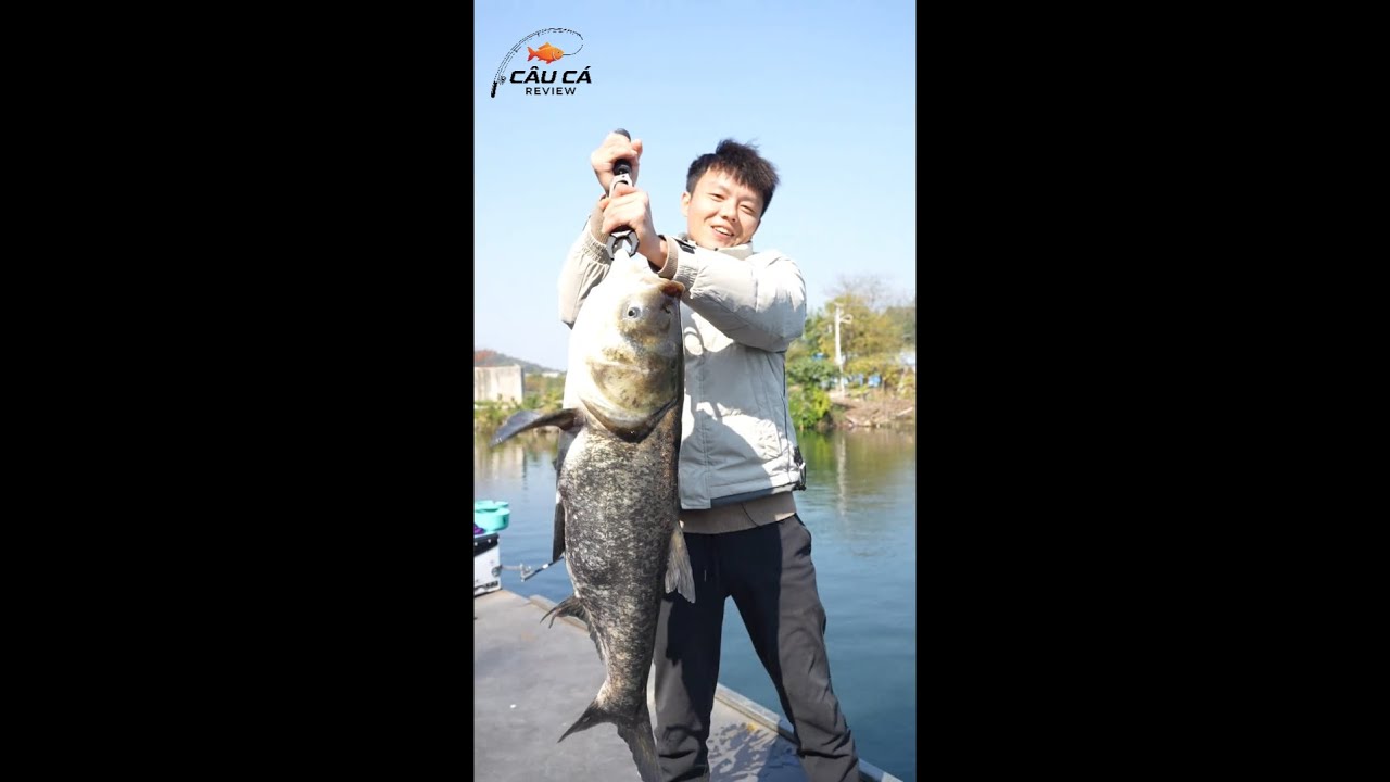 Ngô á câu cá vé câu 850k câu lên 13 con hàng khủng, chủ hồ khóc thét #fishing #cauca #caucathugian