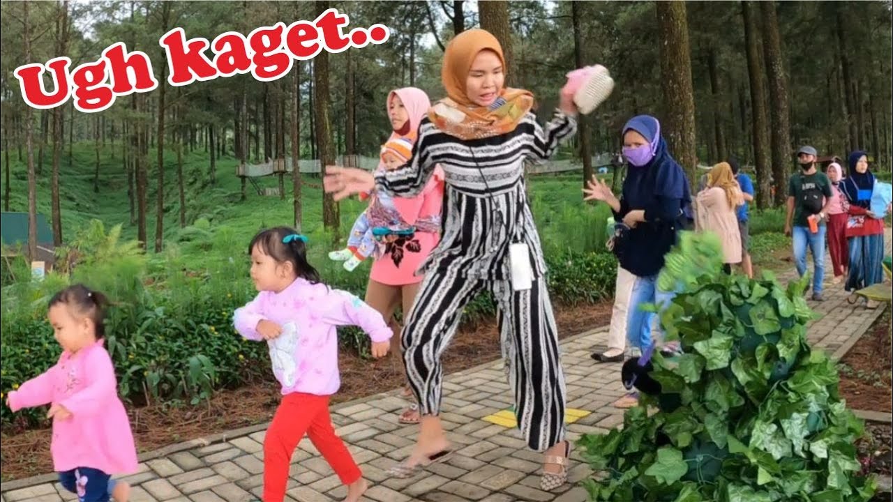 Orang latah dikageti || Bushman prank || Prank manusia pohon