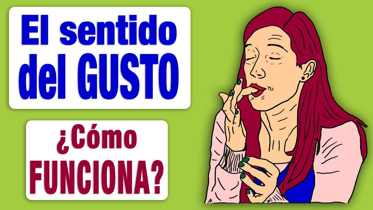 El Sentido del Gusto, ¿Cómo Funciona?