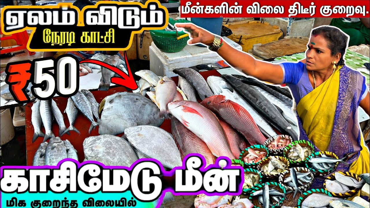 Рыбный рынок Касимеду в Ченнаи 🔥 ПОЛНАЯ ТОЛПА 🐟 | Цены на рыбу по воскресеньям 😱 | Видеоблог Широ 🫰🏻
