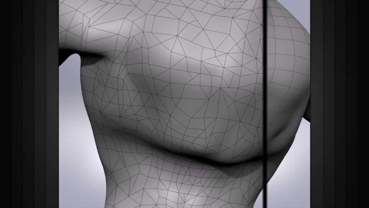 CG101: What is Edge Flow on models?