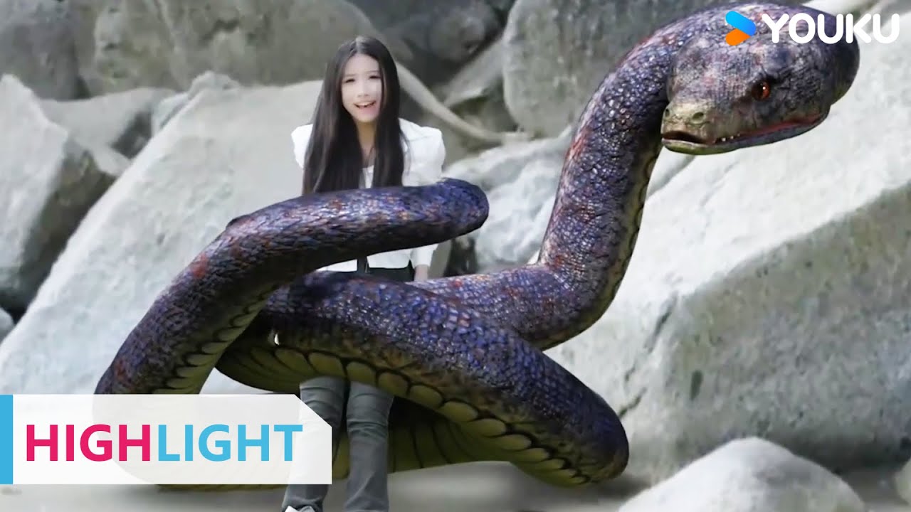 ENGSUB 美女一转头就看到巨蛇正虎视眈眈盯着他们，四人该如何逃脱巨蟒的追击？ |【孤岛巨蟒 Island Python】| YOUKU MOVIE | 优酷电影