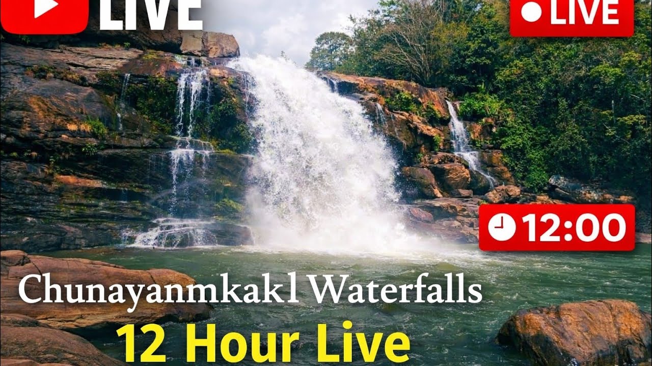 🔴 LIVE: 🌊 Mountain Forest Waterfall | 12 Hours of Flowing Water Sounds | White Noise