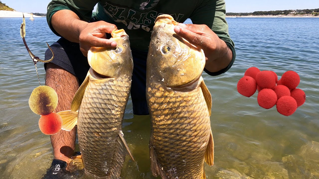 Como hacer los BOILIES que FLOTAN para carpas?