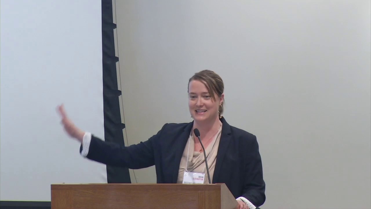 Hacking iCorruption: Results from the Hackathon - May 2, 2015