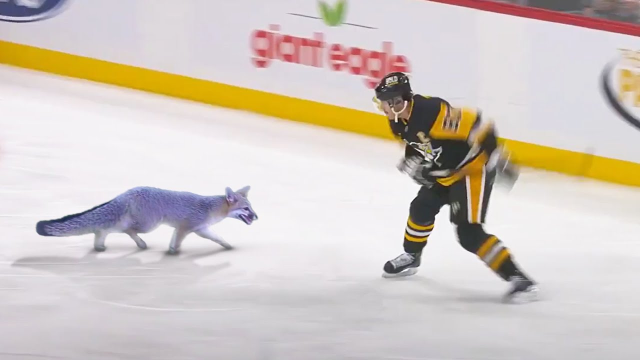 Hockey 