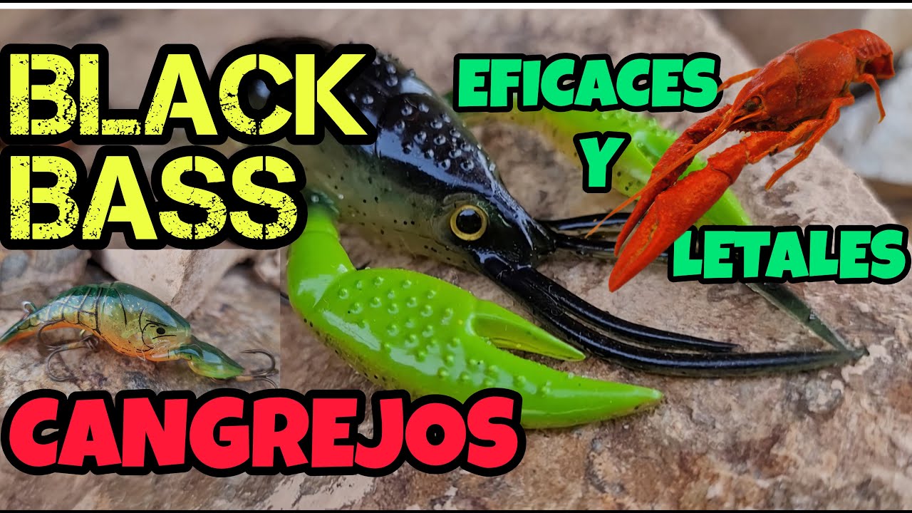🦞CANGREJOS, LOS SEÑUELOS MAS EFECTIVOS, LETALES Y FÁCILES DE USAR PARA LA PESCA DEL BLACK BASS