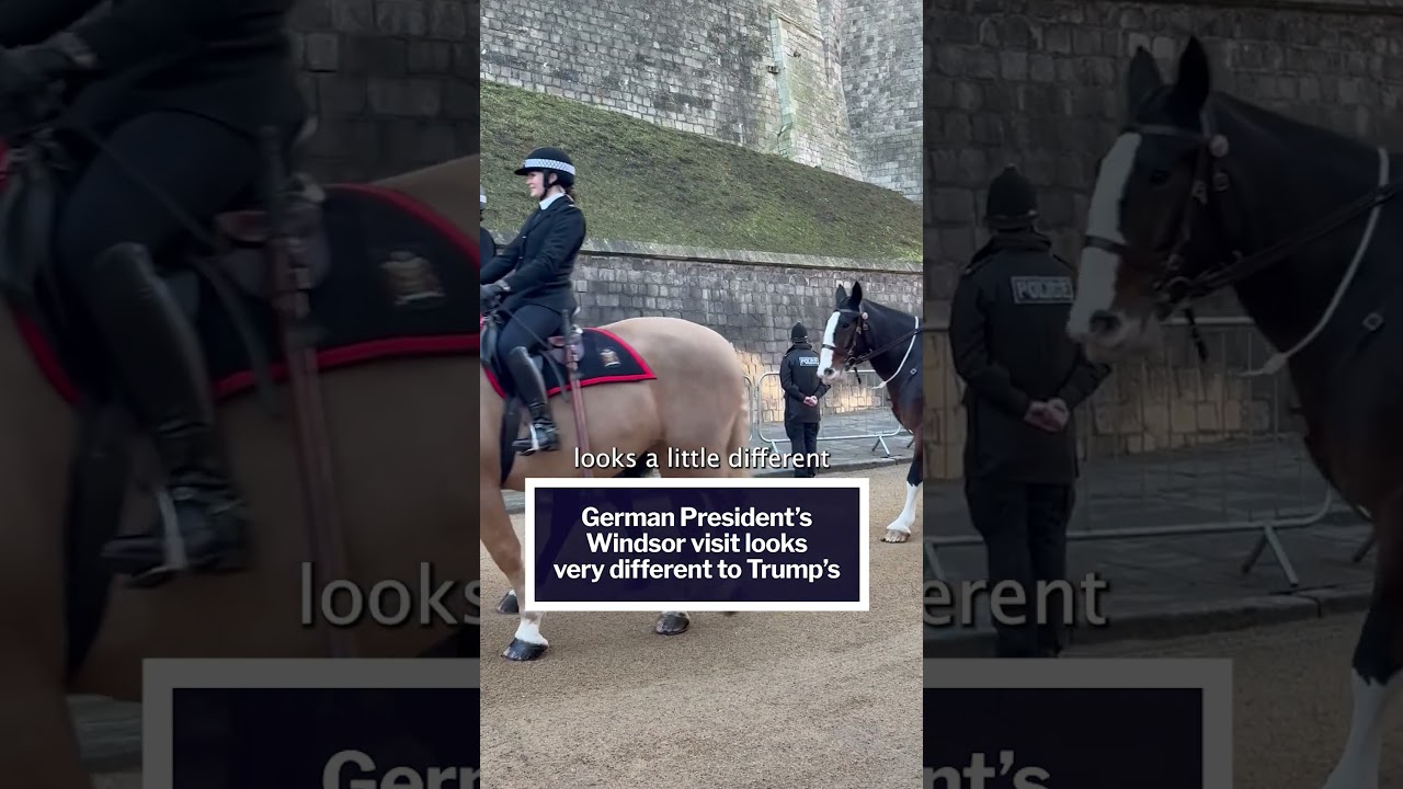 German President's Windsor visit looks VERY DIFFERENT to Trump's