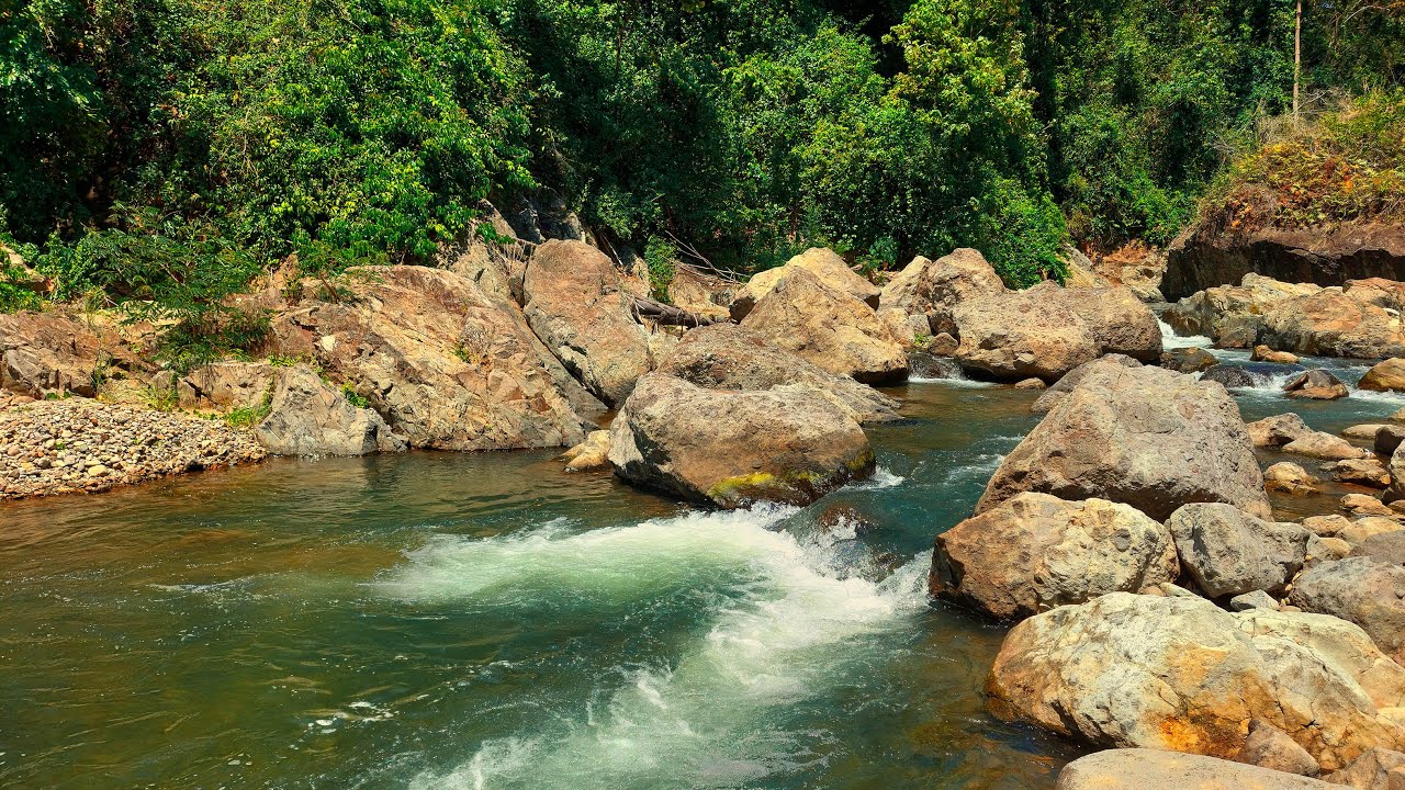 Calming River Sounds Surrounded by Large Rocks and Lush Forest for Deep Relaxation