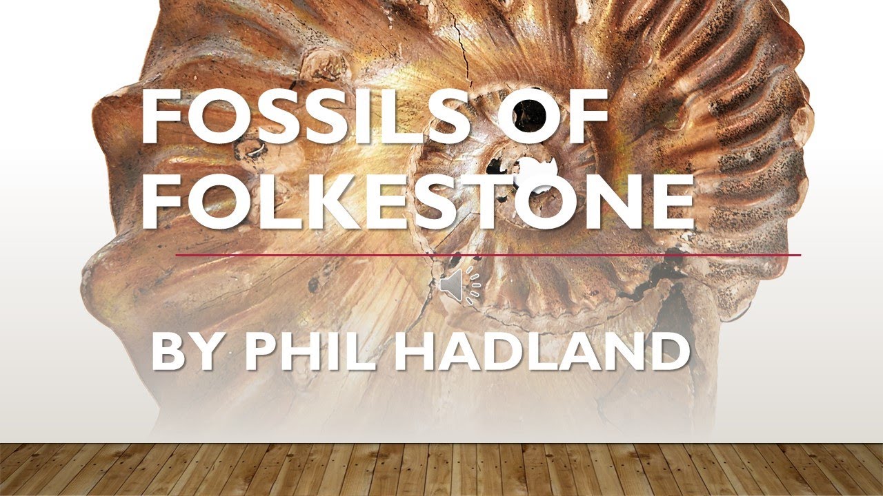 Fossils of Folkestone Talk by Phil Hadland
